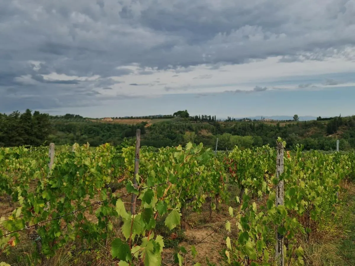 Podere Borgaruccio Peccioli