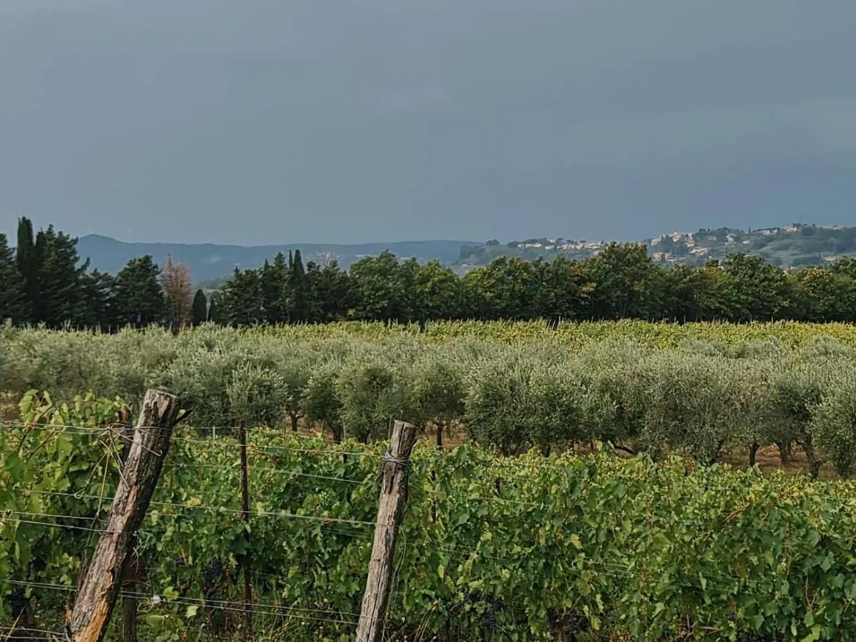 Podere Borgaruccio 페치올리